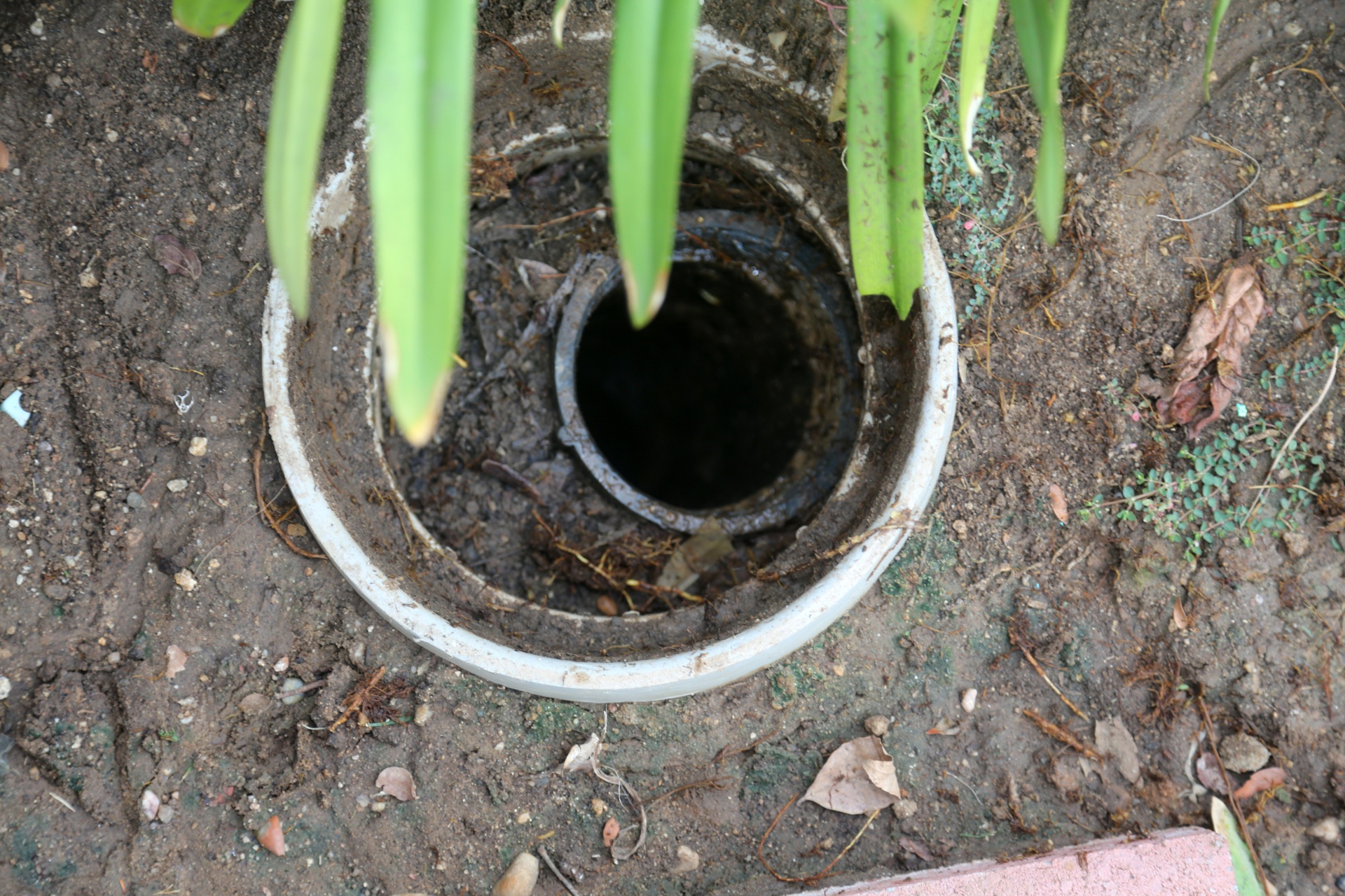 What Happens if a Septic Tank is not Pumped - Surrey And The South East